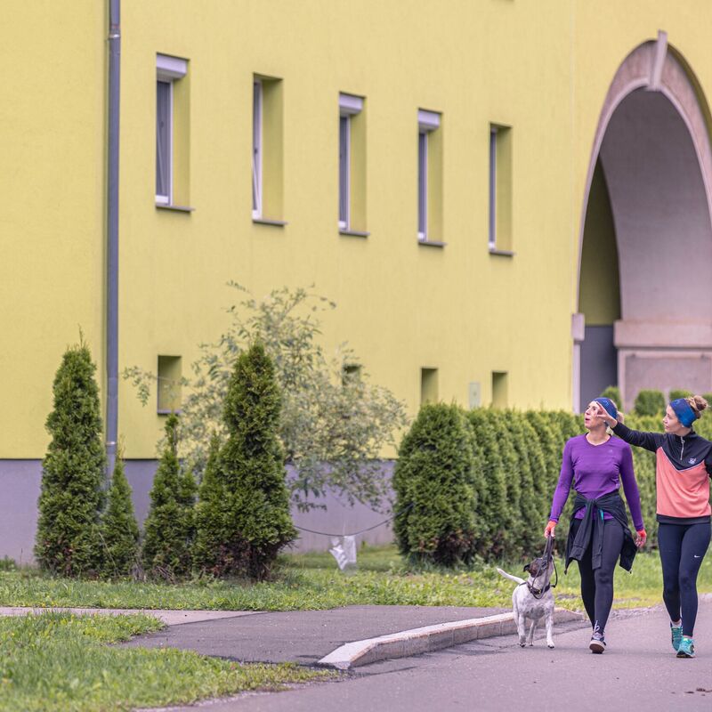 image 0br9mf9m6m024dz