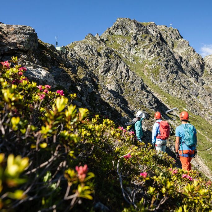 Climbers navigate a flower lined trail on Gargellner Köpfe, surrounded by rocky peaks and a clear blue sky. | © Stefan Kothner