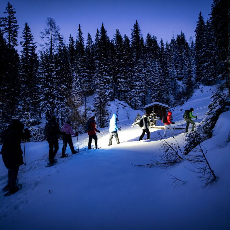 Group snowshoe hiking through a snowy forest during a scenic full moon tour in Rauris.