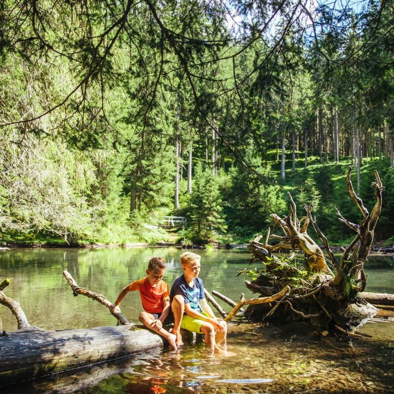 2 boys sitting on a tree trunk in the forest pond