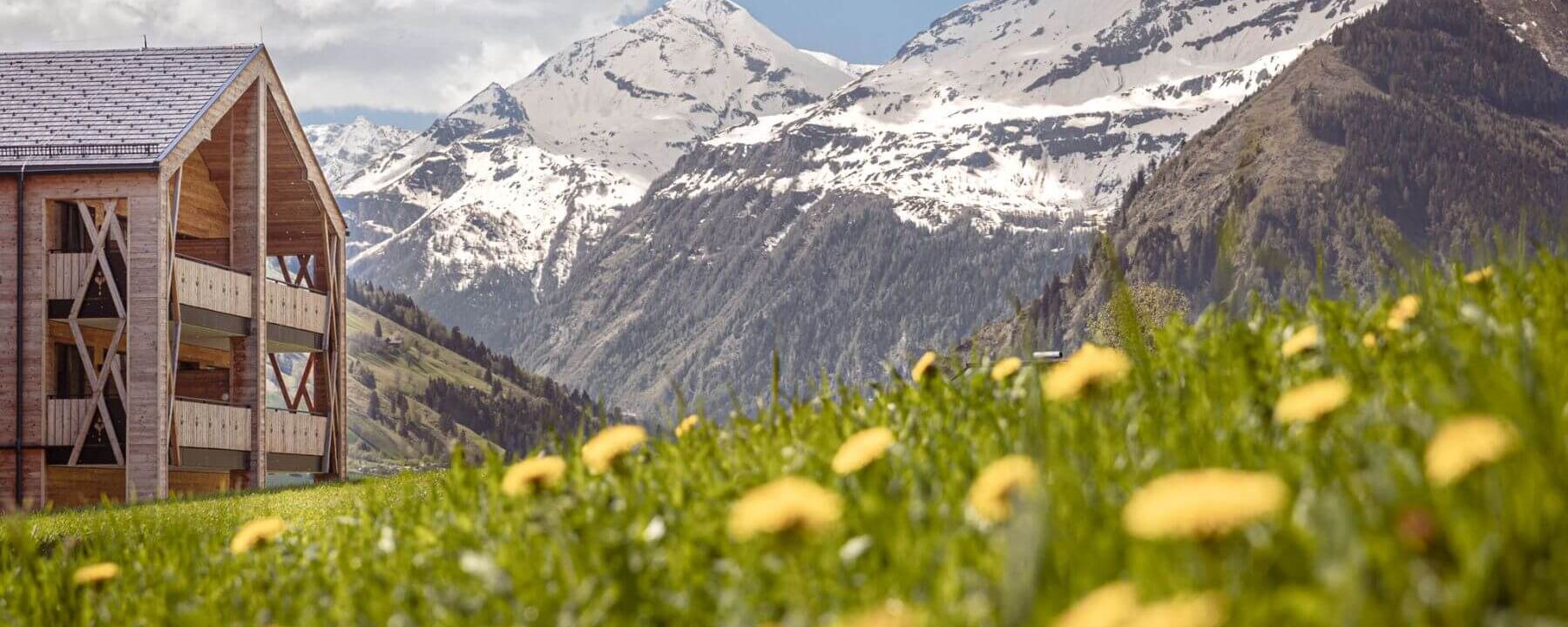 Alpen Wiese mit gelben Blumen, Berge mit schneebedeckten Gipfeln und die Ferienwohnungen Carpe Solem Rauris mit modernen und traditionellen Holzbalkonen