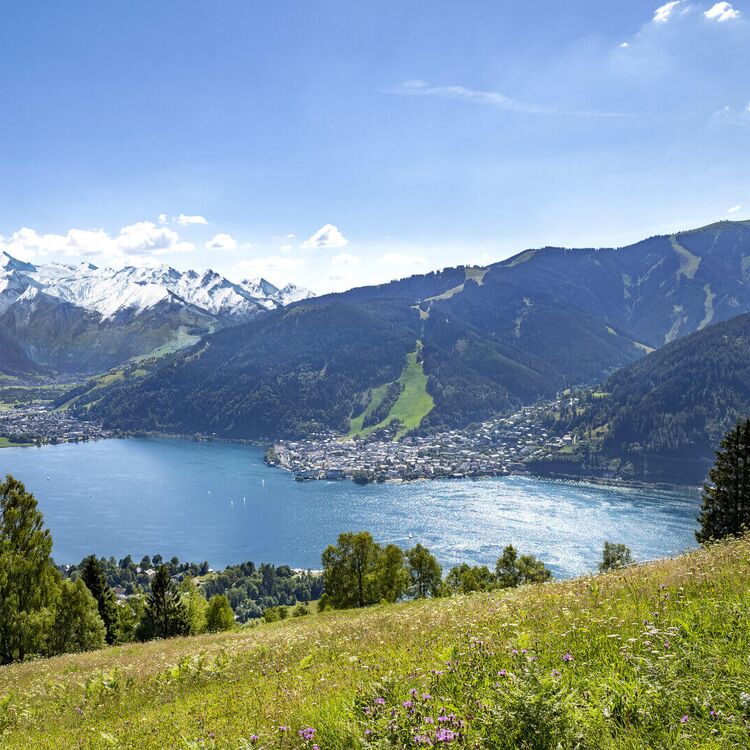 Der Zeller See eingebettet zwischen Bergen, dem Kitzsteinhorn Gletscher, blühenden Wiesen und der Stadt Zell am See.