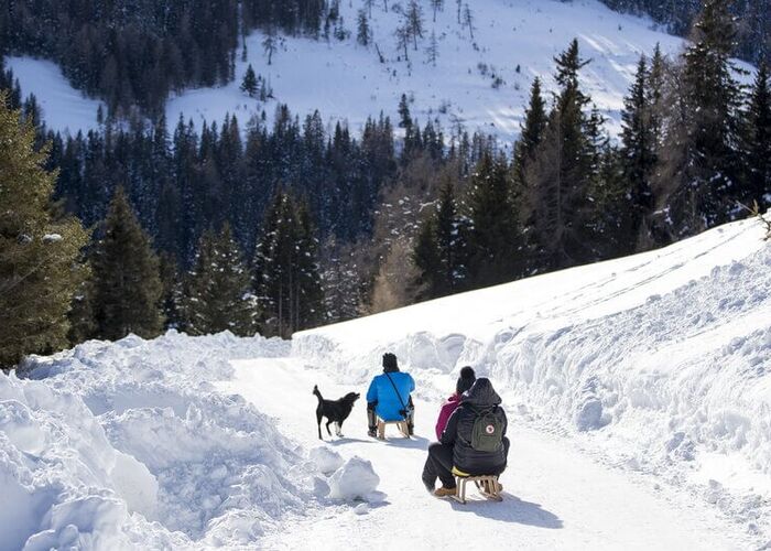 lachtal rodeln  c holzwelt murau tom lamm lachtal 10 23235684 r79er0xjvc8f4wy