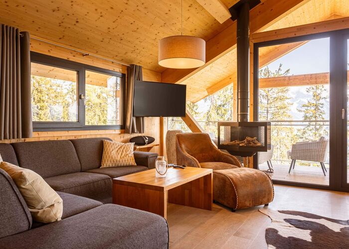Gemütliches Wohnzimmer in einer Holzwohnung mit modernem Kamin, Fernseher und Blick auf die Natur durch große Fenster.