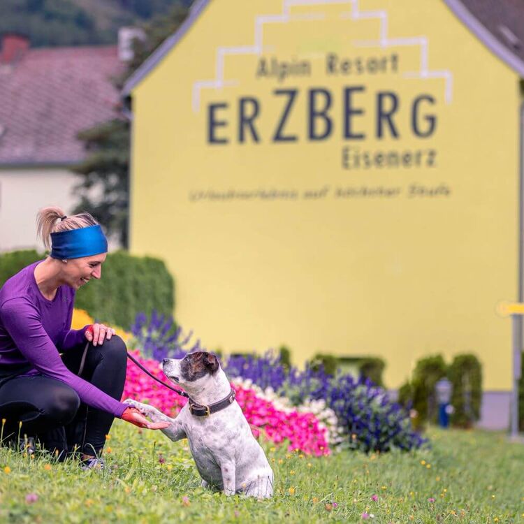 Dog in front of Erzberg Alpin Resort in Eisenerz.