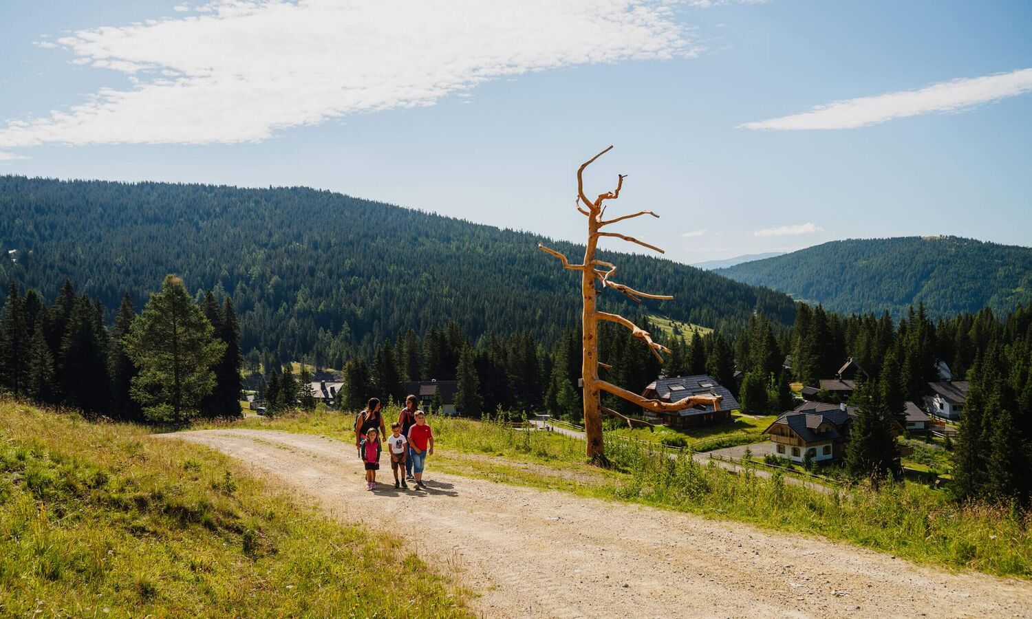 Erlebniswanderweg Wildes Lachtal