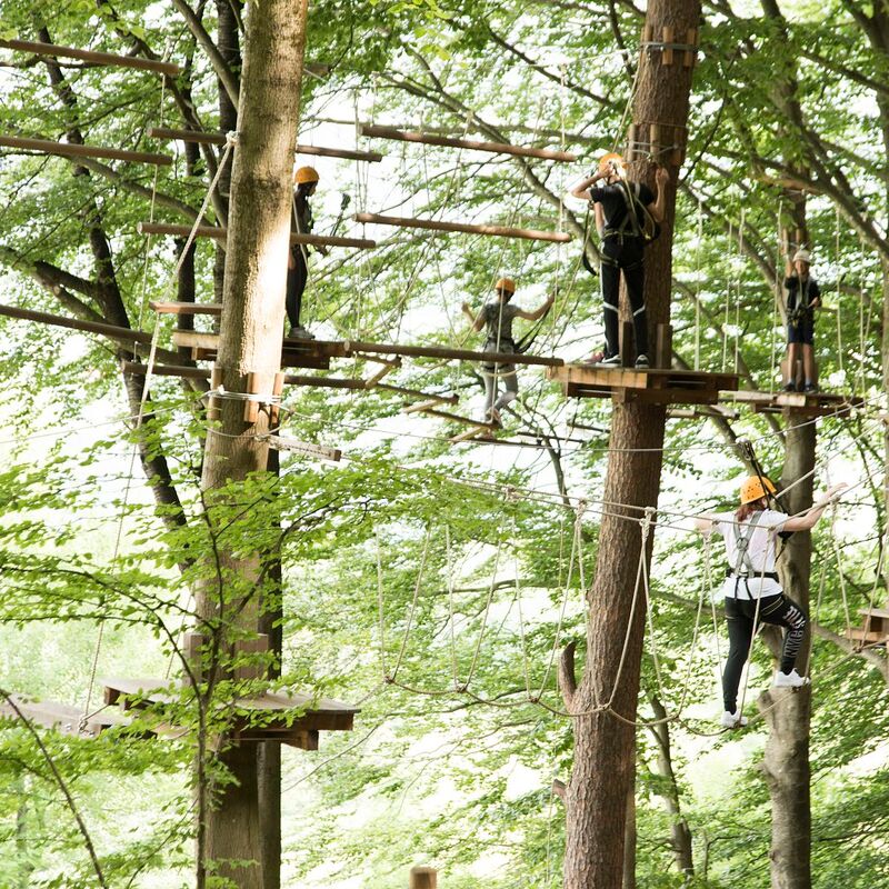 kletterwald am ossiacher see 4 region villach tourismus gmbh mario maurer 1 sth7ya0xs7r1pxn