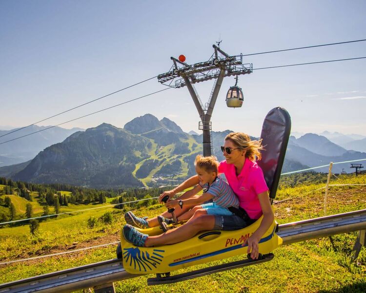 Alpine Coaster Pendolino, Nassfeld (c) NLW