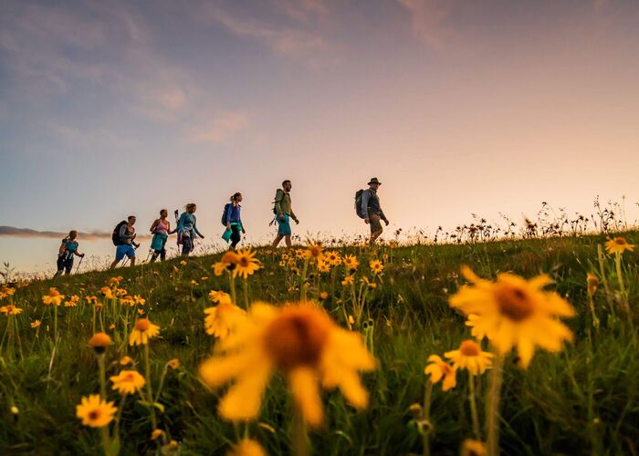 Almbutler auf der Turracher Höhe beim Wandern