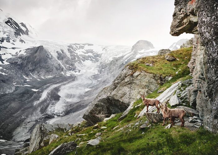 glocknerstrasse %28c%29 salzburger land tourismus michael koenigshofer 5x333zg2xhsxp3q