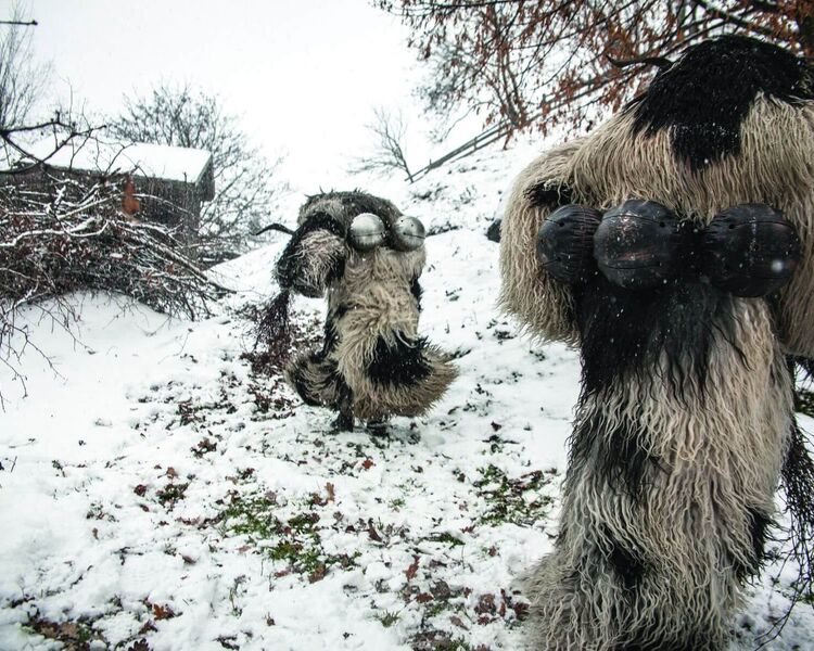 Toifi mit Rute in einer verschneiten Winterlandschaft im Raurisertal, Salzburg. © TVB Rauris / Florian Bachmeier