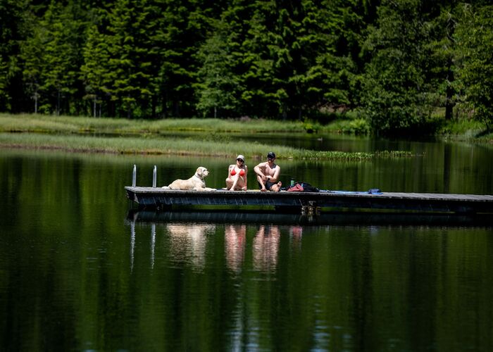 schattensee hund c tv murau tomlamm 5c50804jczen0bg