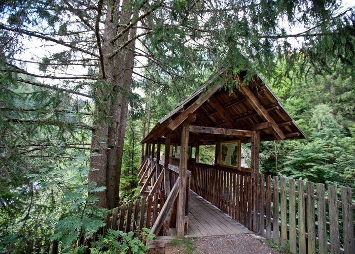 hoher steg predlitz5 c holzwelt murau tom lamm y06m7mtj1yffjx2