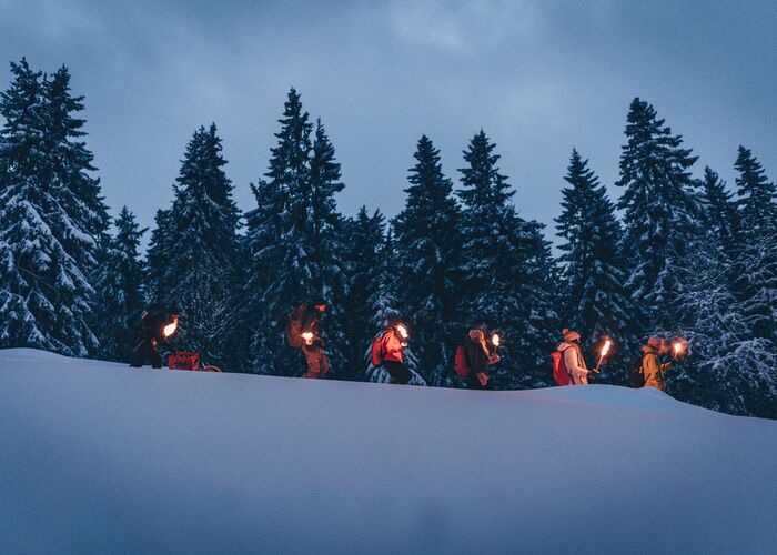 istock 1217049593 gw978ypebg8ey4s