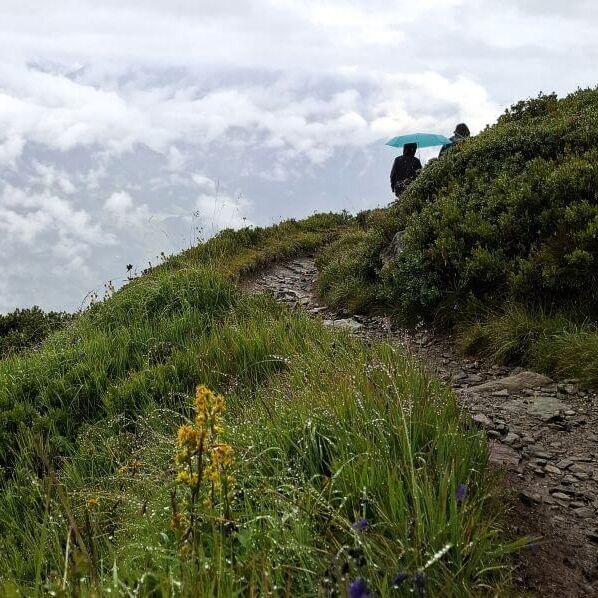 Wanderer mit Regenschirm bei Schlechtwetter am Wanderweg Wang in Schruns