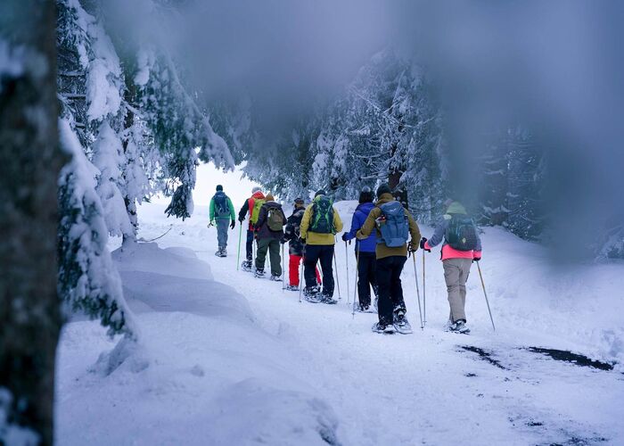 Winter hike in Hohentauern National Park