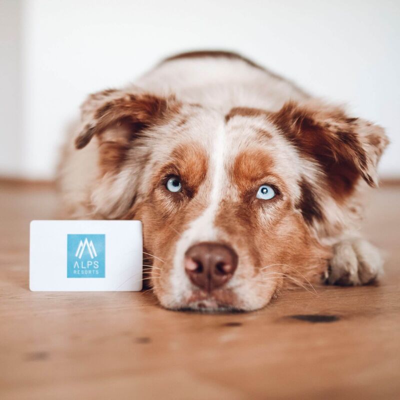 drivys adventures alps resorts 2305 36 swva126s8rw3fs1