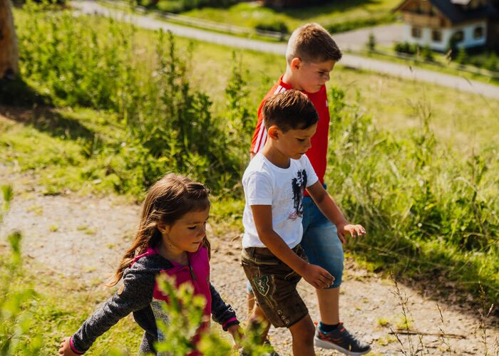 Erlebniswanderweg Wildes Lachtal