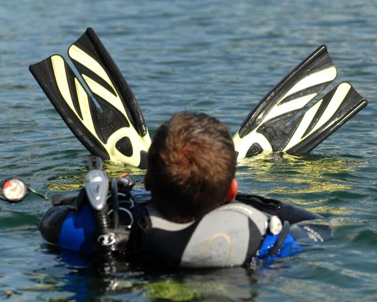 Diver exploring the clear waters of Lake Ossiach in the Villach region, surrounded by aquatic plants and natural visibility. © Region Villach Tourism GmbH / Adrian Hipp