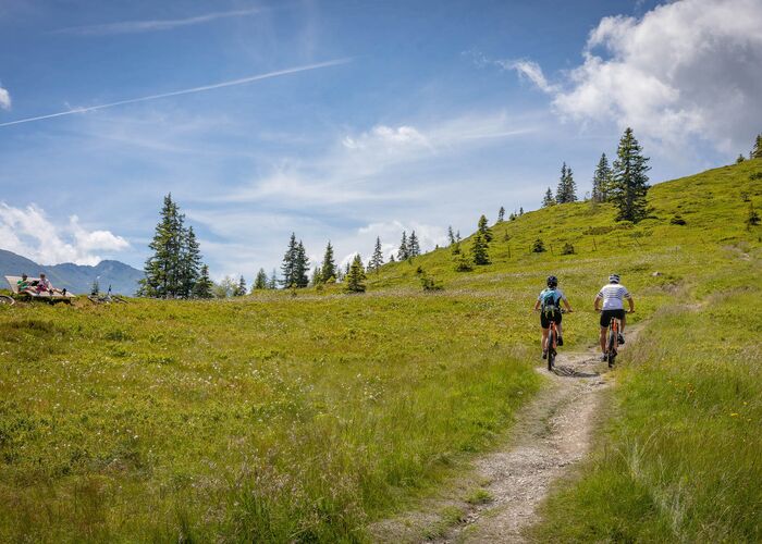 2x4a6302 ersteferienregion mtb hochfuegen almtal2020 c zillertal tourismus becknaphoto 149433rpa1eqsv3