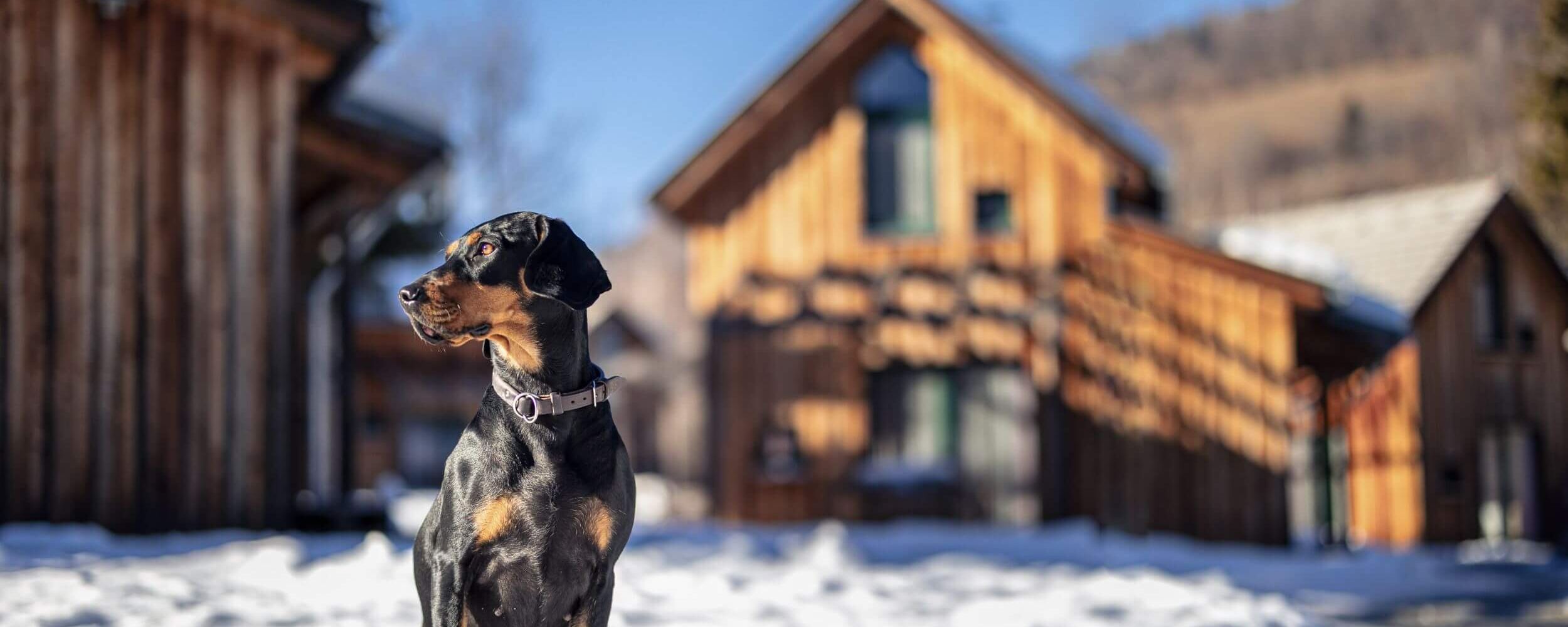 fpk hund fta 0122 24 pk0hhjgapg8g6w2