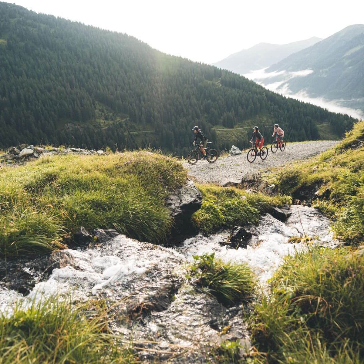 Drie mountainbikers rijden op een brede bergweg langs een bergbeek met uitzicht op een bebost Alpenlandschap