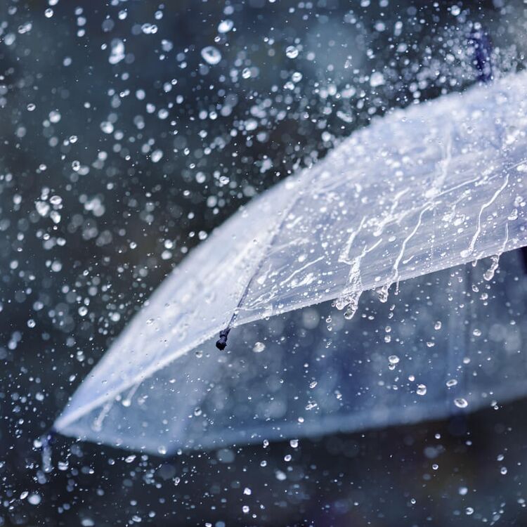 Transparenter Regenschirm im Regen