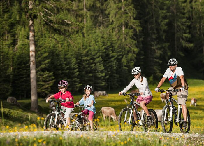 stubaitirol radfahren c andreschoenherr 78svzzx5z9j26bf