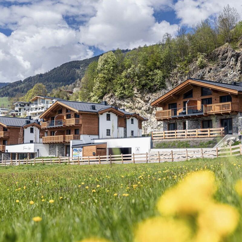 tlu fta 0522 01 1a91b7agb68z0fj