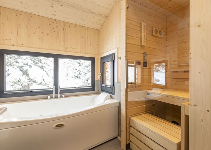 whirlwanne sauna 54vee5zyg2da94j