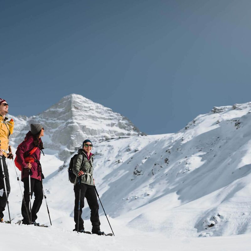 wipptal wildlahner schneeschuhwandern c tvb wipptal 8jgznchzab428dc
