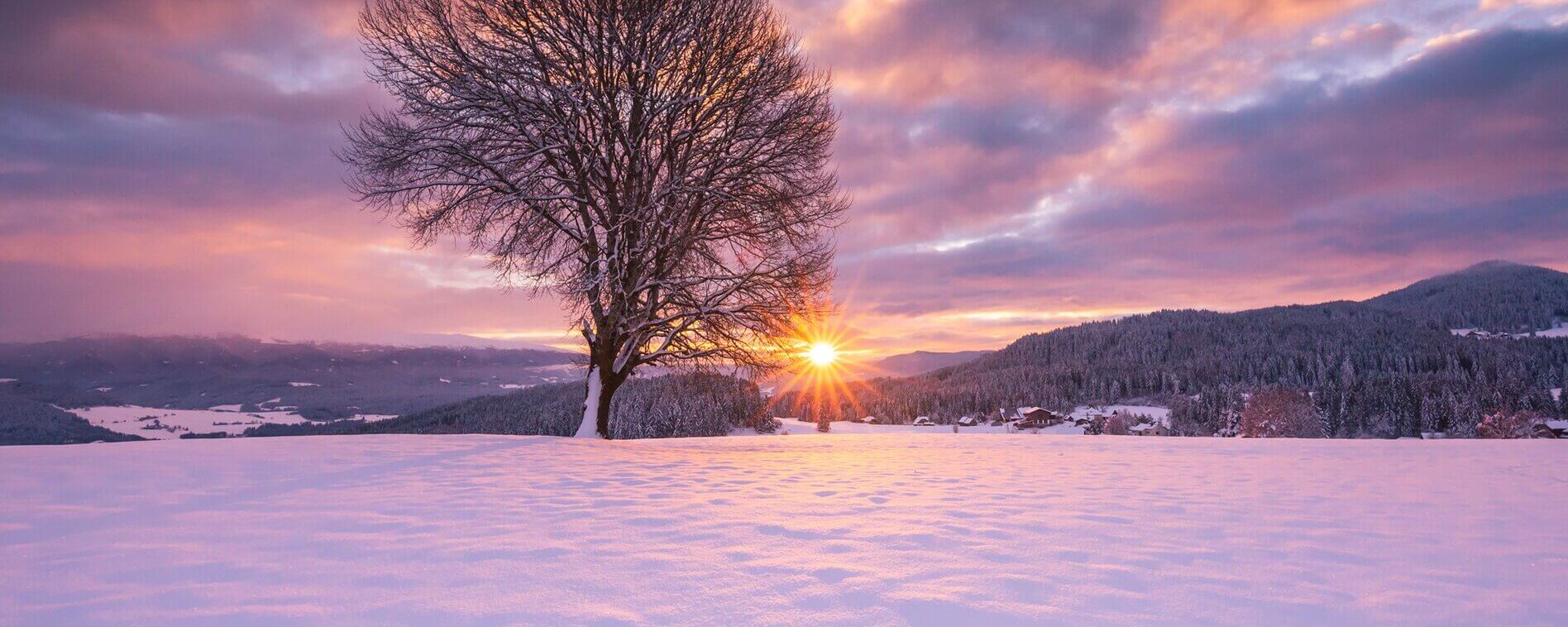 Snow covered tree in the winter landscape of Zeutschach in Zirbitzkogel Grebenzen Nature Park