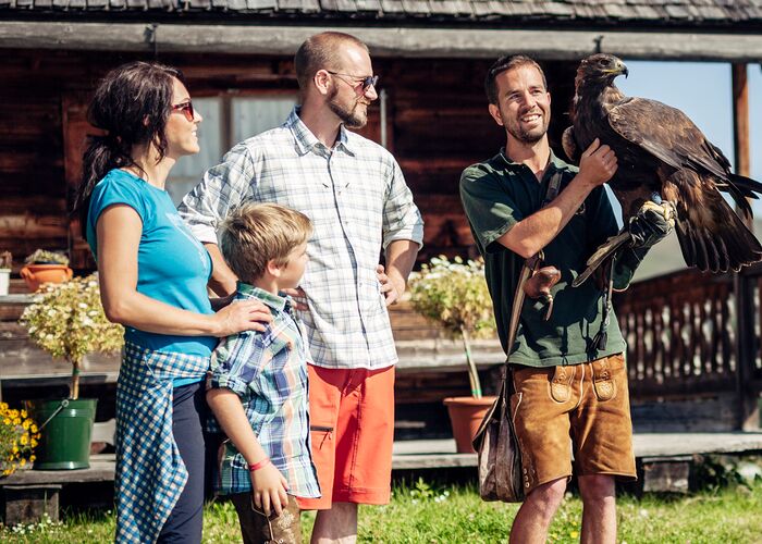 %28c%29ferienregion nationalpark david innerhofer ebb5dcp07jawr14