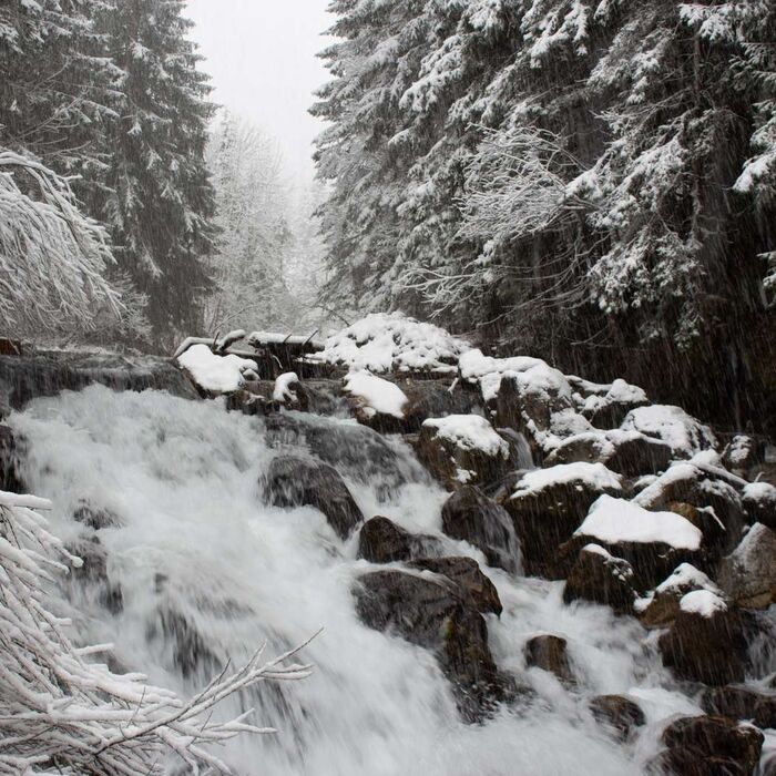 bichlbach c tiroler zugspitz arena zotz lea ykrtz57s0y70qnt