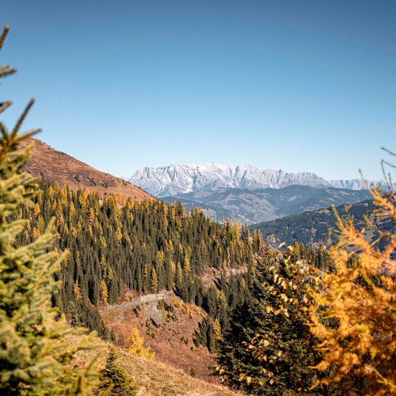 Autumn colors blanket the Raurisertal valley, with majestic mountains in the distance under a clear blue sky.