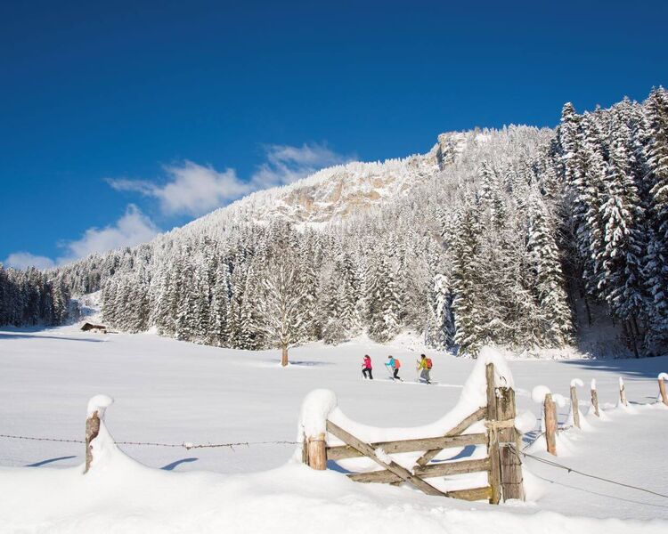 Personen mit Schneeschuhen in einer verschneiten Landschaft in den Kitzbüheler Alpen.