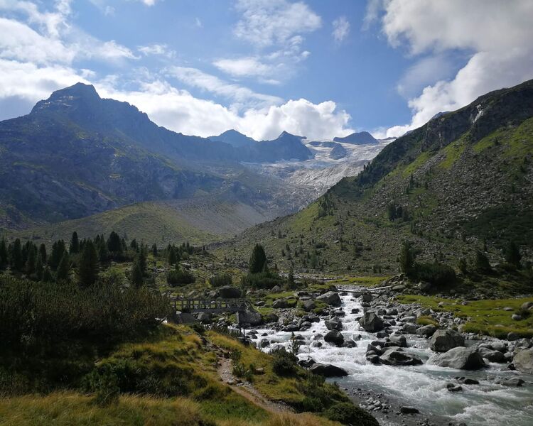 Gorge with a rushing stream in the Zillertal, surrounded by steep rock walls and lush alpine nature. © ServusTV / Terra Mater – Mahatsek