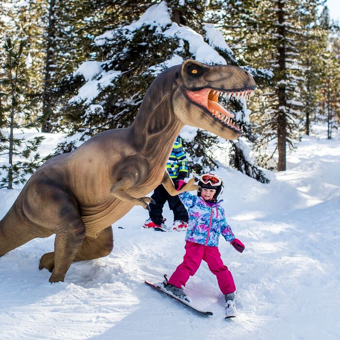 dinowald  c kreischberg tomlamm ed38vtw7qbavy39