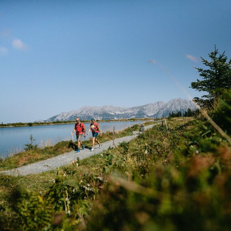 Wandern im Sommer am Wilden Kaiser © Stefan Leitner