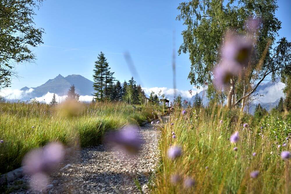 Naturschutzgebiet Wasenmoos © Mittersill+/Huber