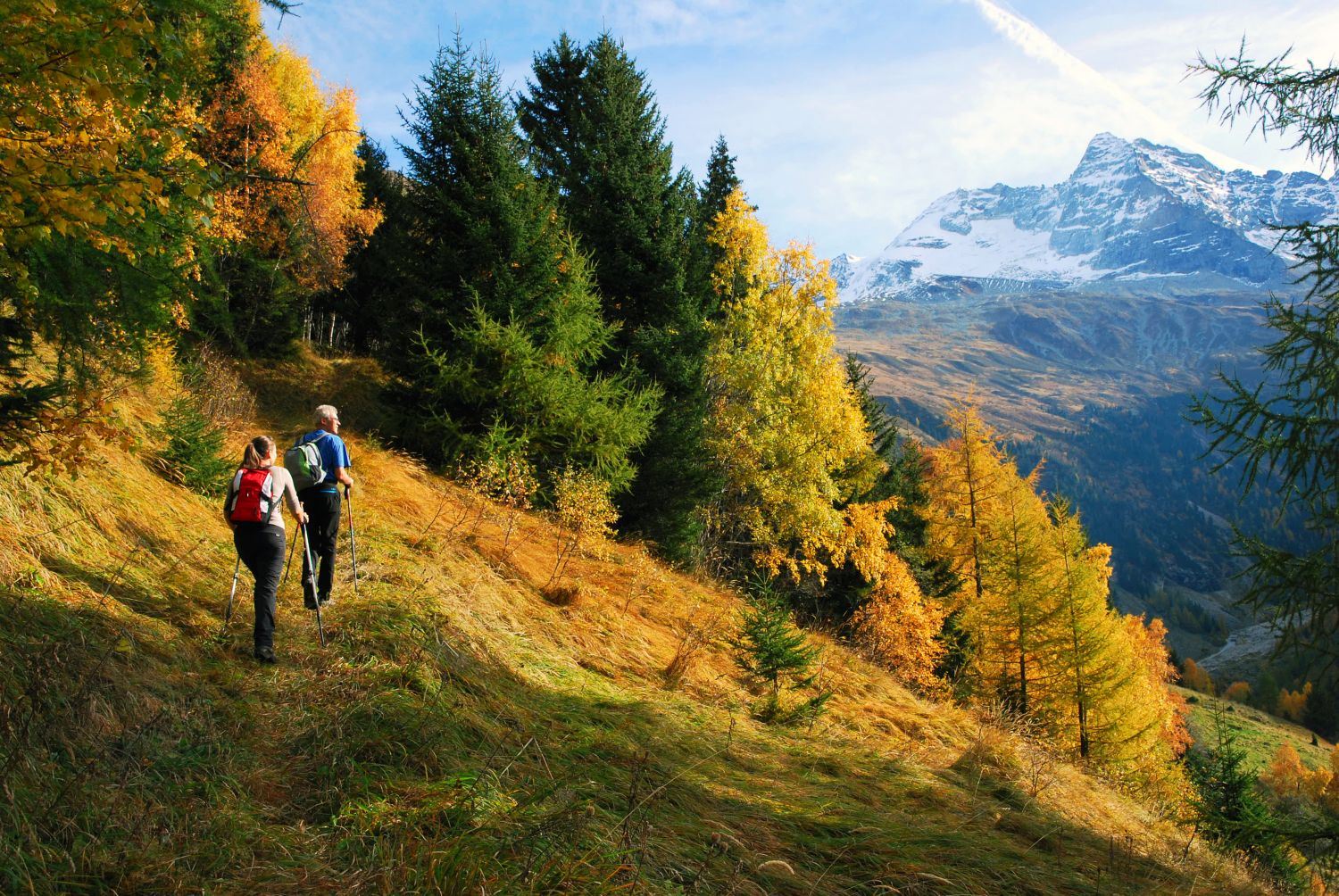 Zwei Wanderer genießen die herbstliche Landschaft in den Wipptaler Alpen mit schneebedeckten Bergen im Hintergrund.